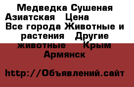 Медведка Сушеная Азиатская › Цена ­ 1 400 - Все города Животные и растения » Другие животные   . Крым,Армянск